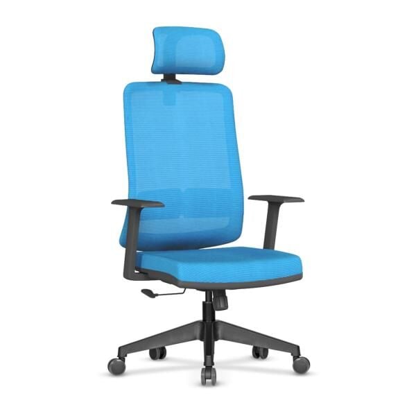 Greta Fileli Ofis Koltuğu Greta Fileli Ofis Koltuğu Turkuaz